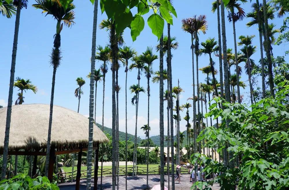 1277星际电子游戏控股集团