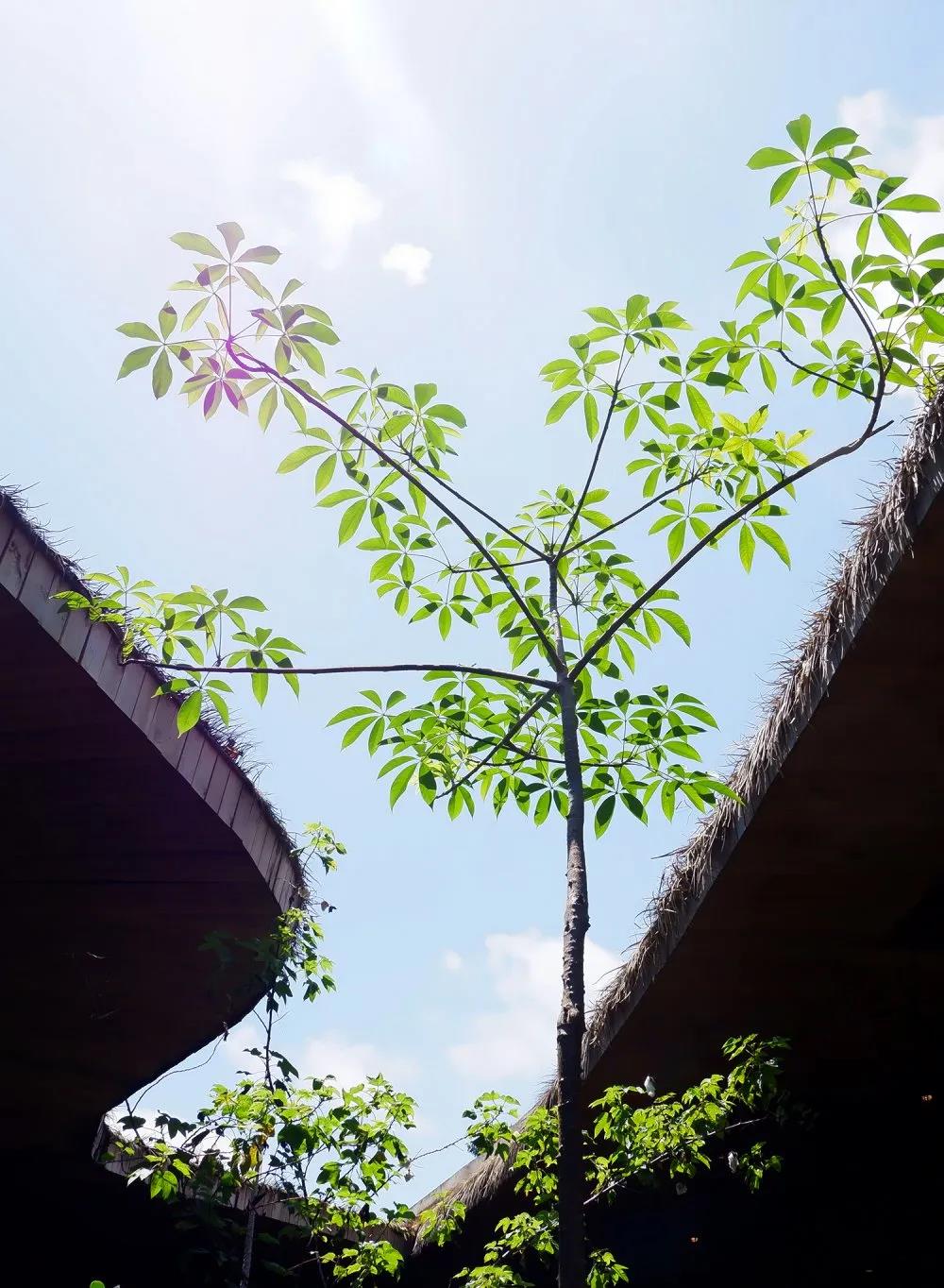 1277星际电子(中国游)官方游戏网址