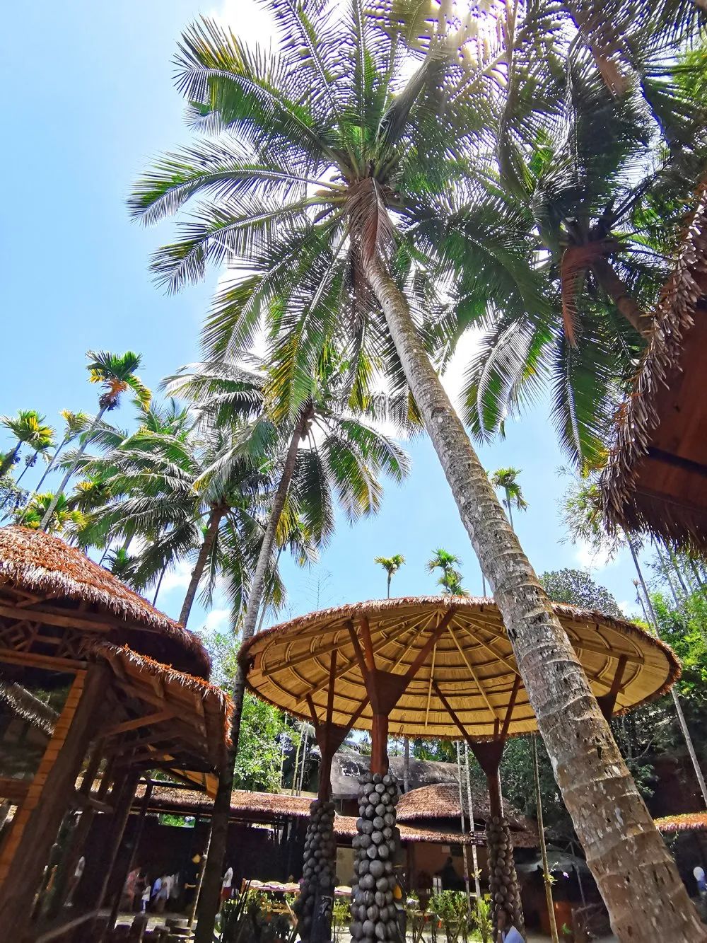 1277星际电子(中国游)官方游戏网址